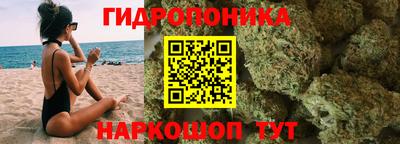 трава Кандалакша
