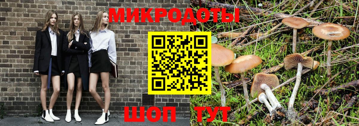 Псилоцибиновые грибы Magic Shrooms  Вход с VPN  Кстово  Галлюциногенные грибы Cubensis 